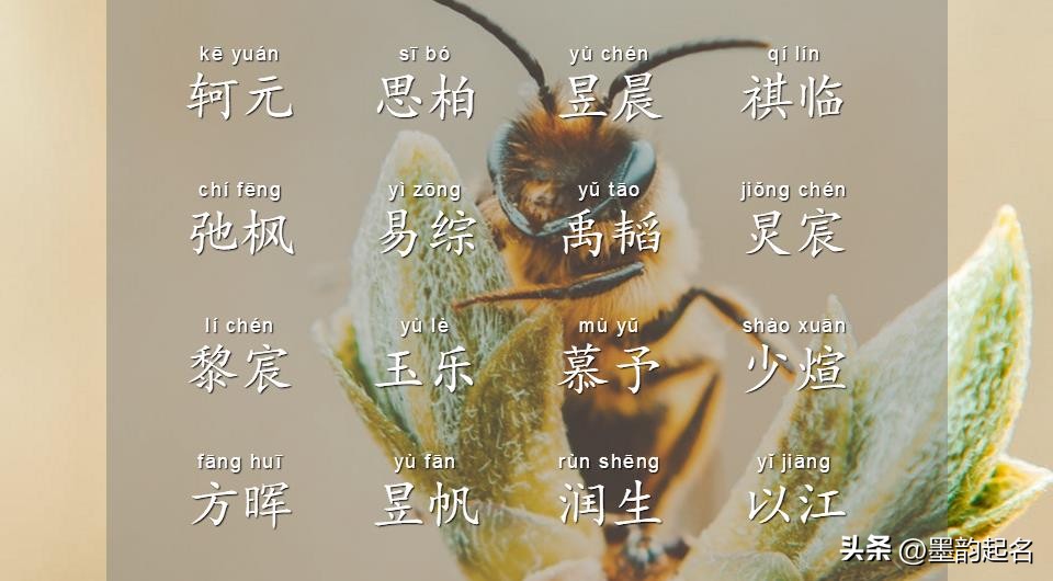 英文名字寓意好的英文男孩名,起名字简单大气霸气男孩名