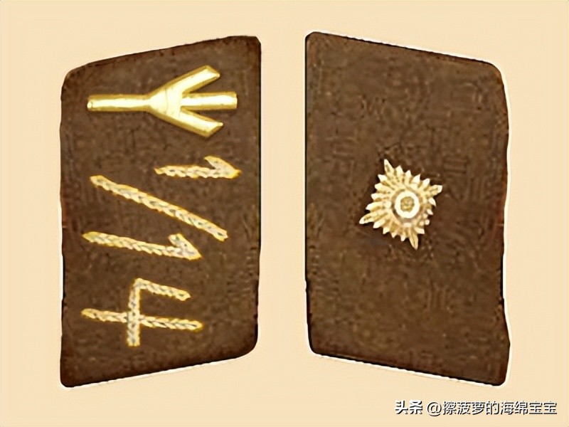 纳粹冲锋队用的什么枪,纳粹德军军衔图解