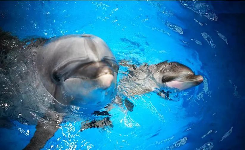 天津遛娃圣地,天津周末免费遛娃好去处