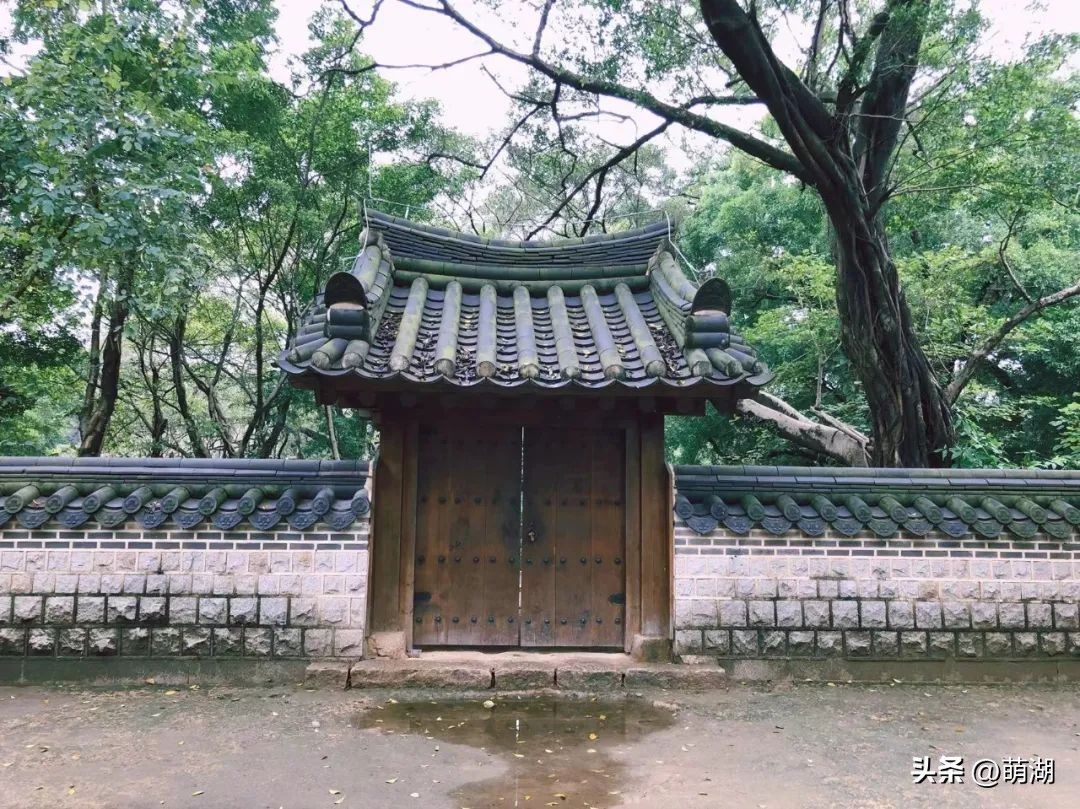 慢下来看风景静下来陶冶情操,慢下来享受安静的惬意时光