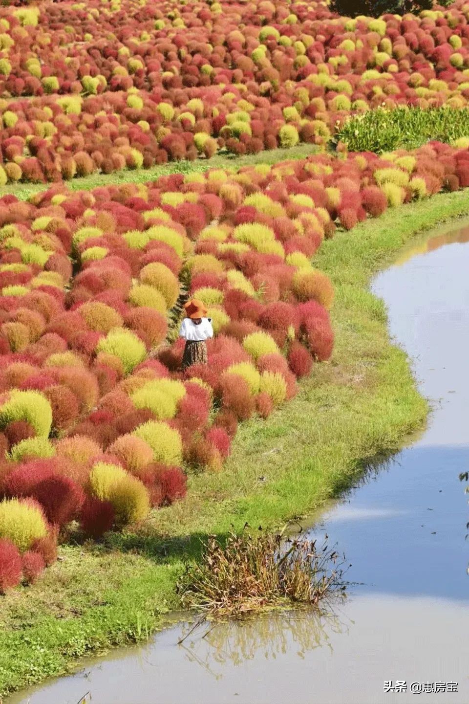 上海公园免费,上海免费公园排行