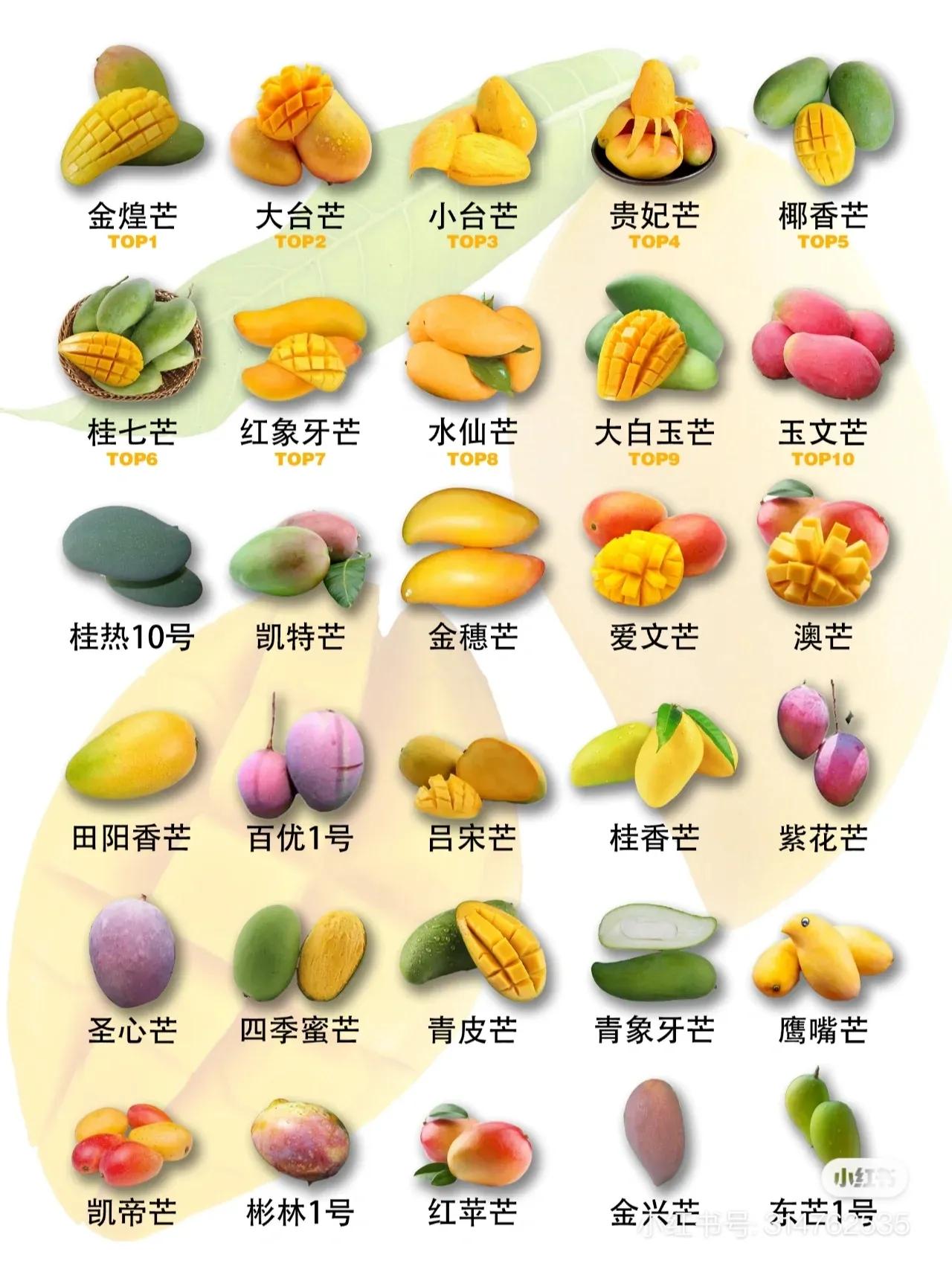 常见芒果的区别及口感,常见芒果的区别