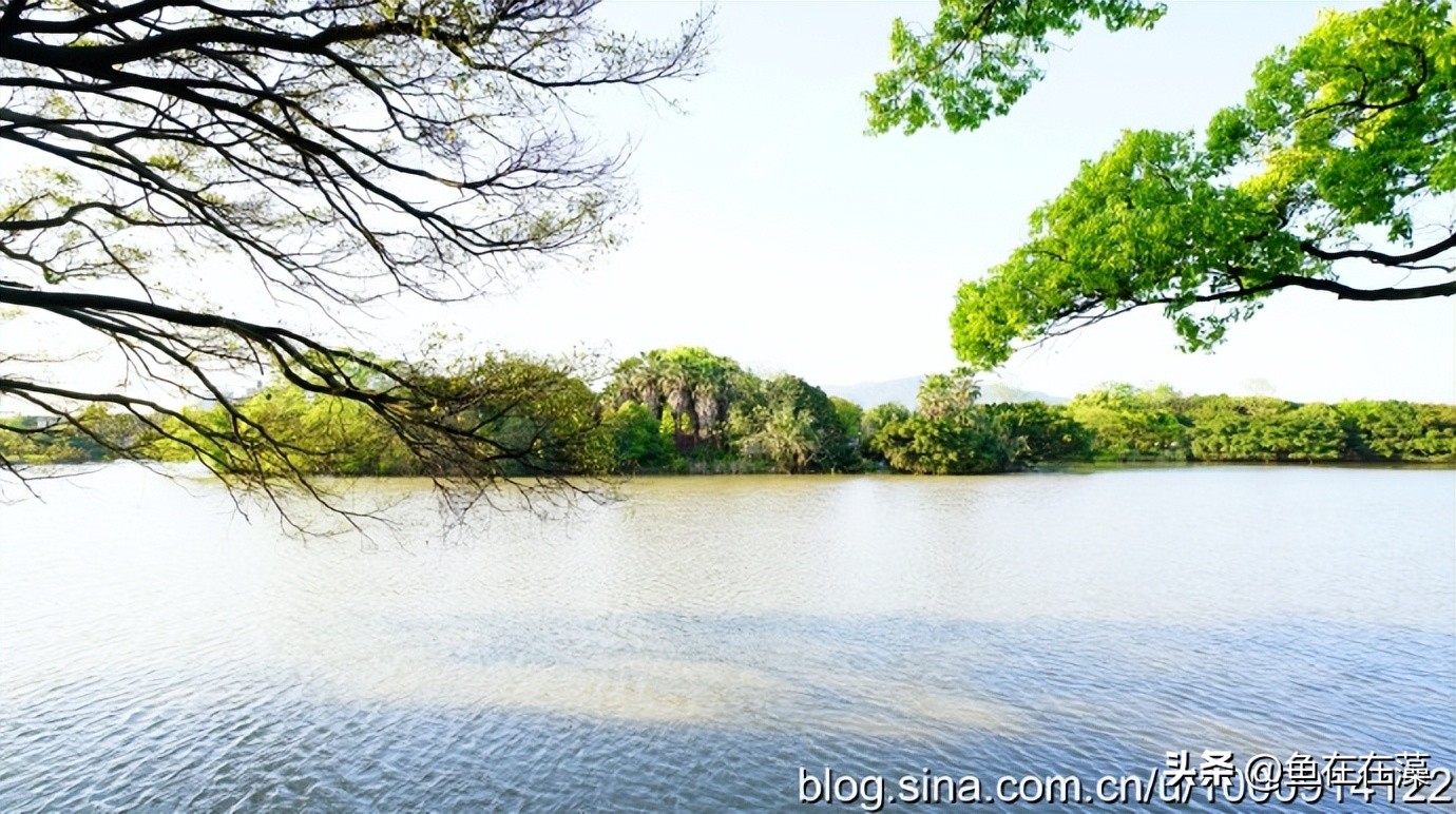 温州郑振铎纪念馆,郑振铎温州
