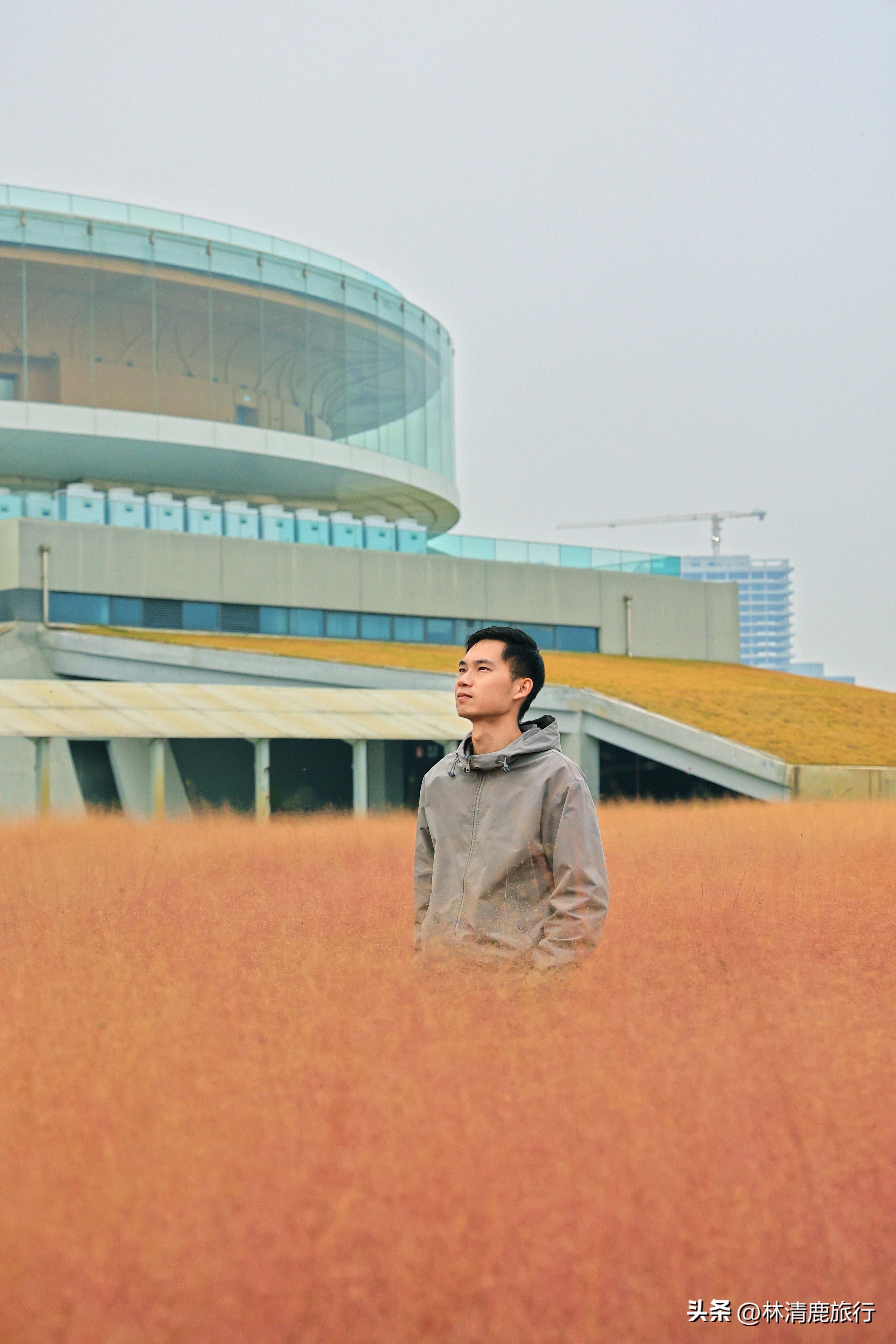 郑州秋日赏秋推荐,郑州坐地铁可达的赏秋好去处