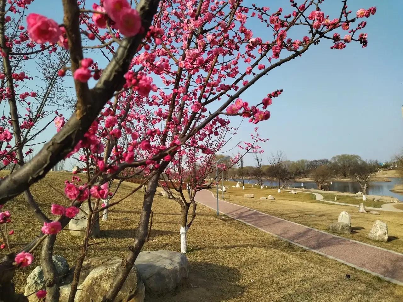 咸阳最好的公园在哪里,咸阳龙湖彩虹郦城规划有公园吗