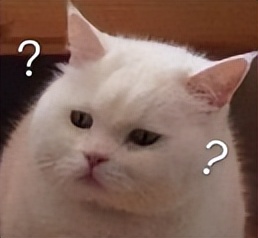 受不了,国综又刷新下限了!