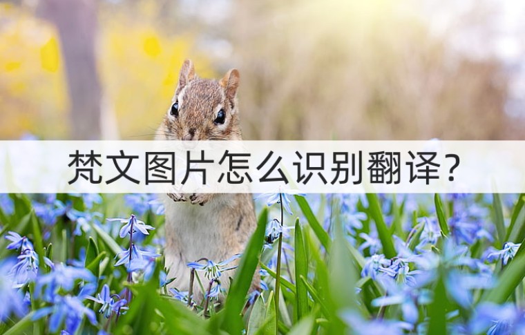 梵文识别翻译,梵文在线翻译图片大全