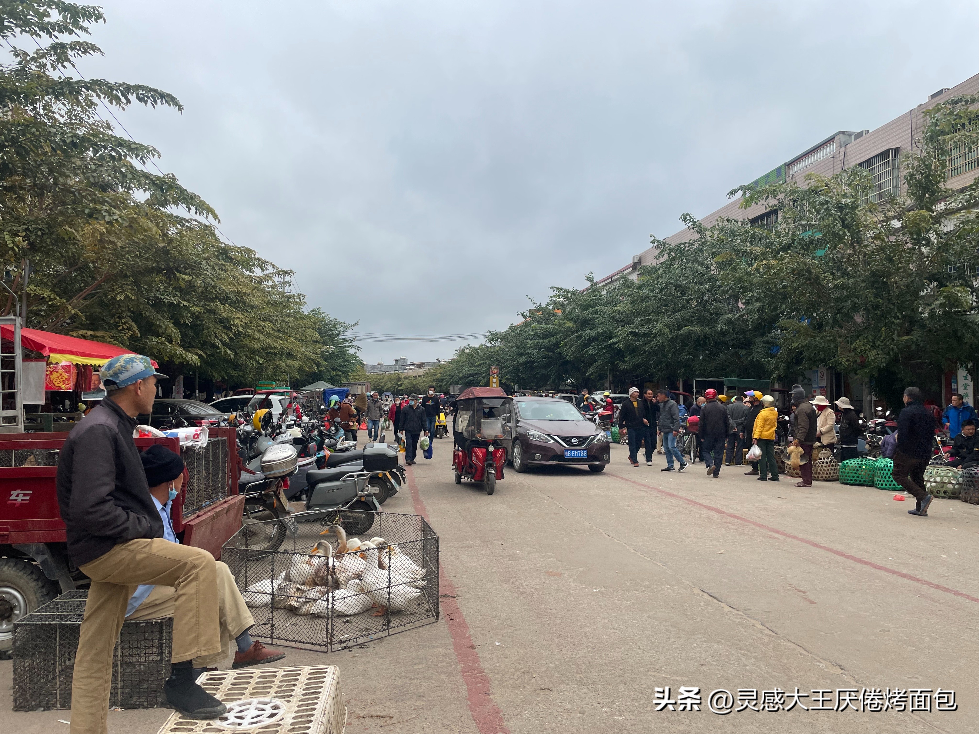 海南万宁有哪些大型农贸市场,海南万宁和乐菜市场