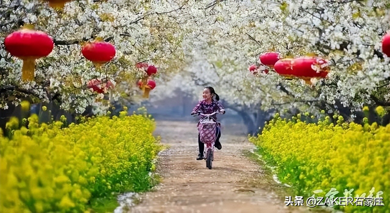 ZAKER石家庄早新闻 4.3 | 石家庄正太广场景观设计方案公示；新规落地，你的外卖“上锁”没；观花 这3条线路最佳