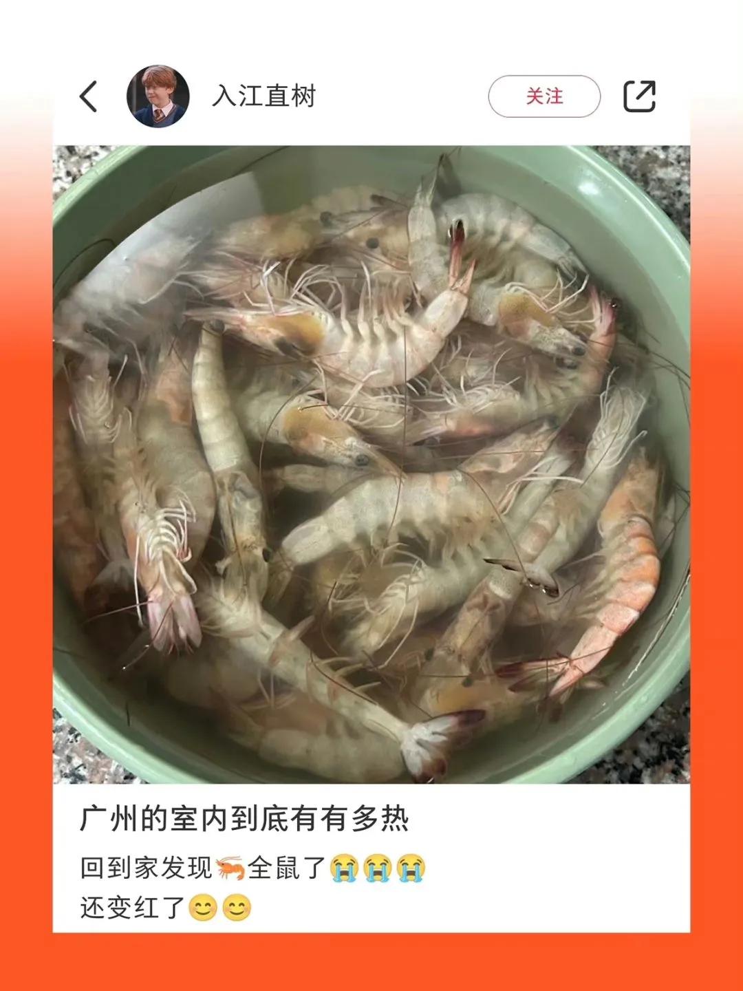 夏天热疯了搞笑图片,炎热的搞笑图片图文