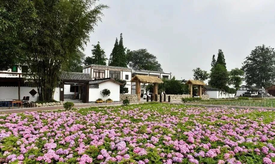 贵州省5起乡村振兴典型案例通报,乡村振兴中可以做哪些景观设计