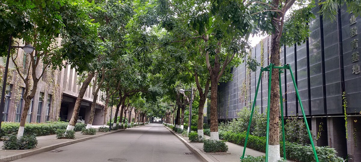 民办大专不够投档线能上吗,民办专科不被认可吗