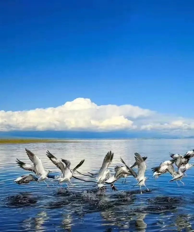 我愿和你一起奔赴理想和未来,我愿背上行囊随你去远方