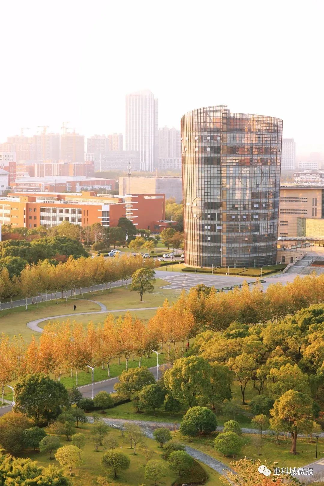 又增长！高考特控上线率高达85.13%！科学城做对了什么？