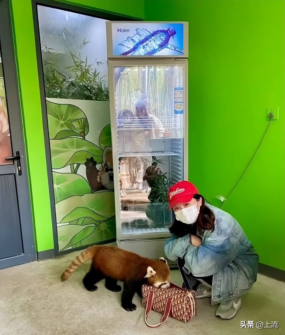 男孩景区遭鹈鹕灌顶,男孩被醍醐灌顶在什么景区