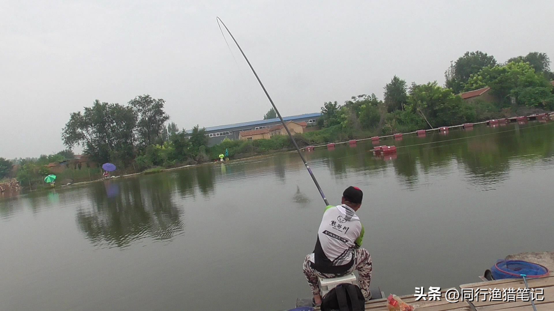 买鱼竿避开大品牌,选鱼竿别盲目