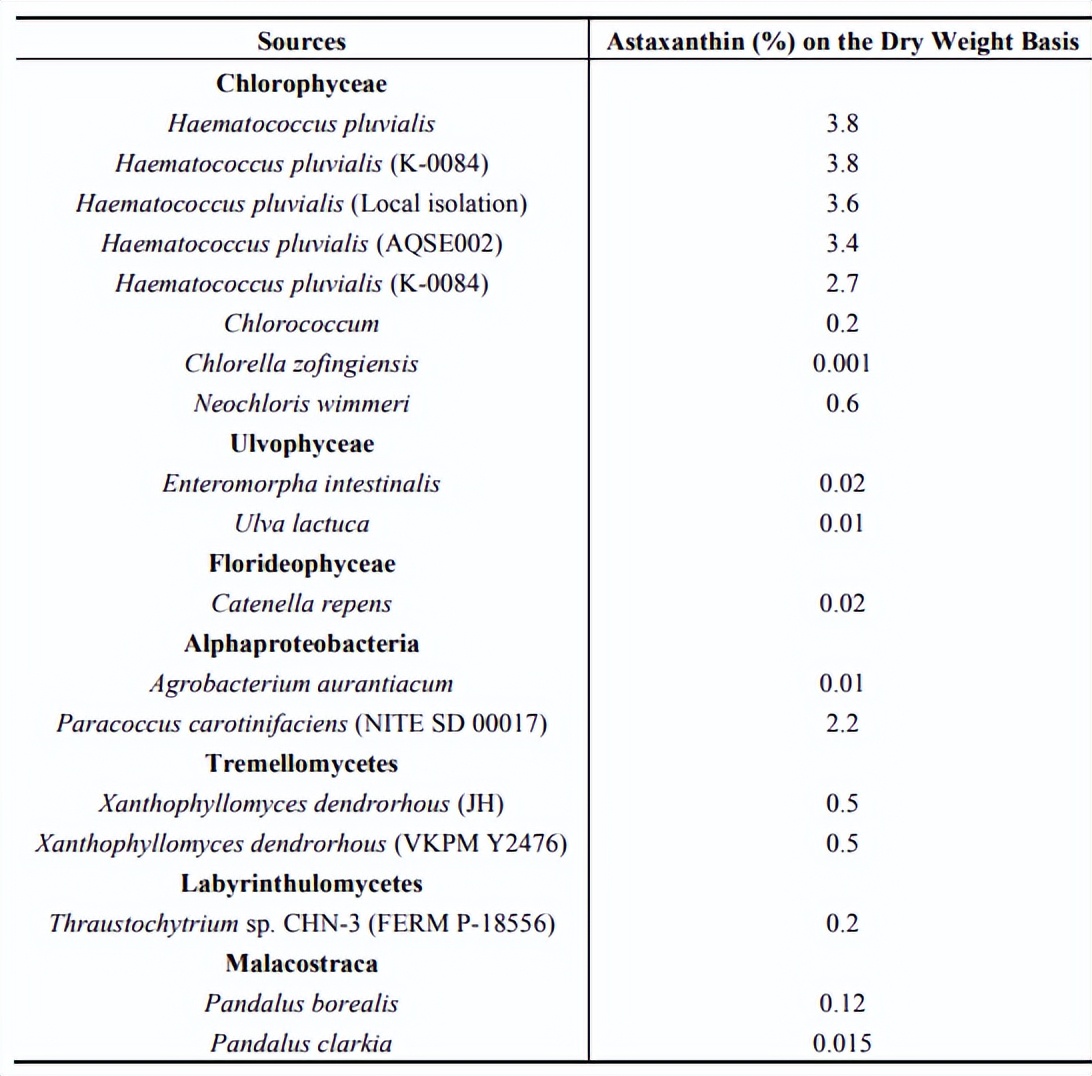 虾青素能抗应激吗,虾青素能抗氧化抗衰老吗