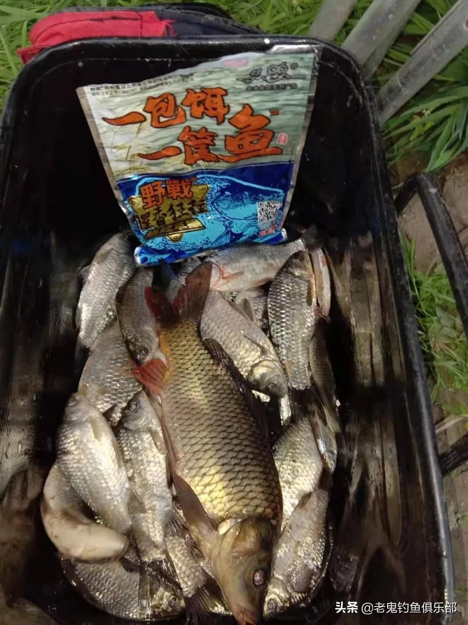 春江水暖,东风闸过足瘾