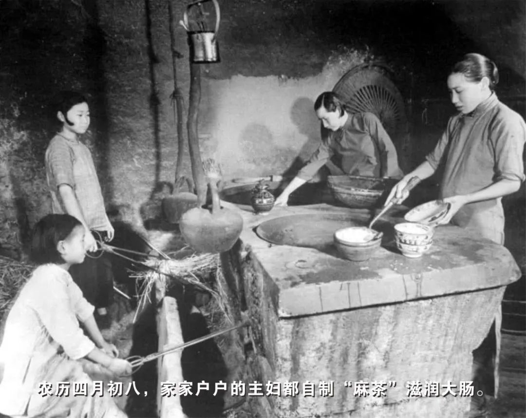 东莞最好喝的茶饮,适合广东夏天喝的养生茶饮