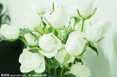 一个宿管眼中的女神百态,一个宿管眼中的女生百态