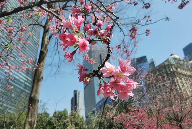 城市会客厅广州,广州城市会客厅
