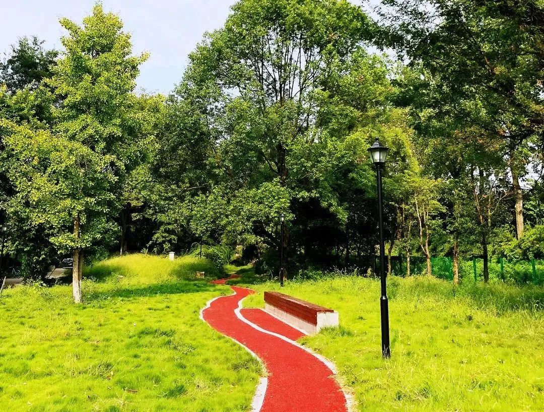 幸福成都美丽家园,幸福成都成就梦想