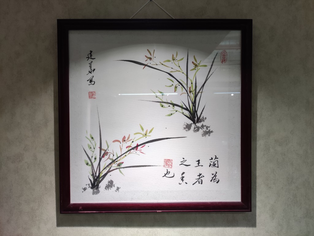 “金陵兰汇”兰花馆于江宁湖东29盛大开业,香飘四溢