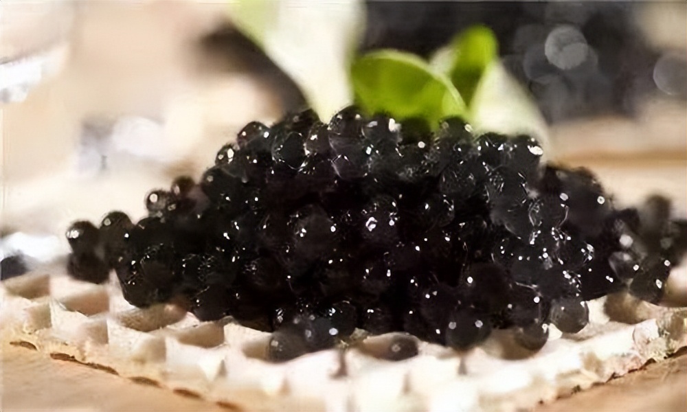 世界上最好吃的鱼子酱,世界十大美食鱼子酱