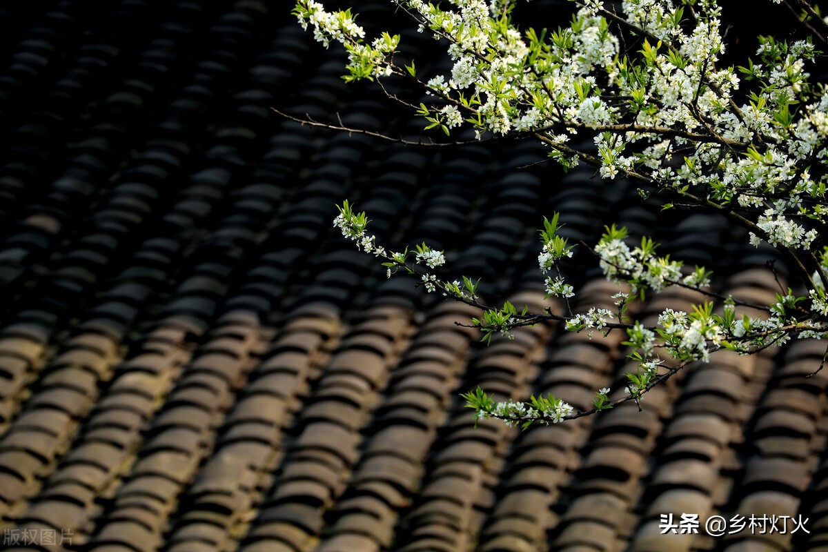 建房用沥青瓦和树脂瓦优点和缺点,沥青瓦和传统瓦的优缺点