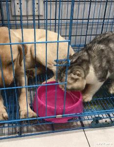 “女友闺蜜深夜约我看海，该注意啥？”