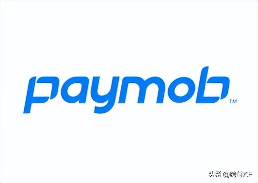 埃及使用什么支付方式,埃及可以通过什么方式付款