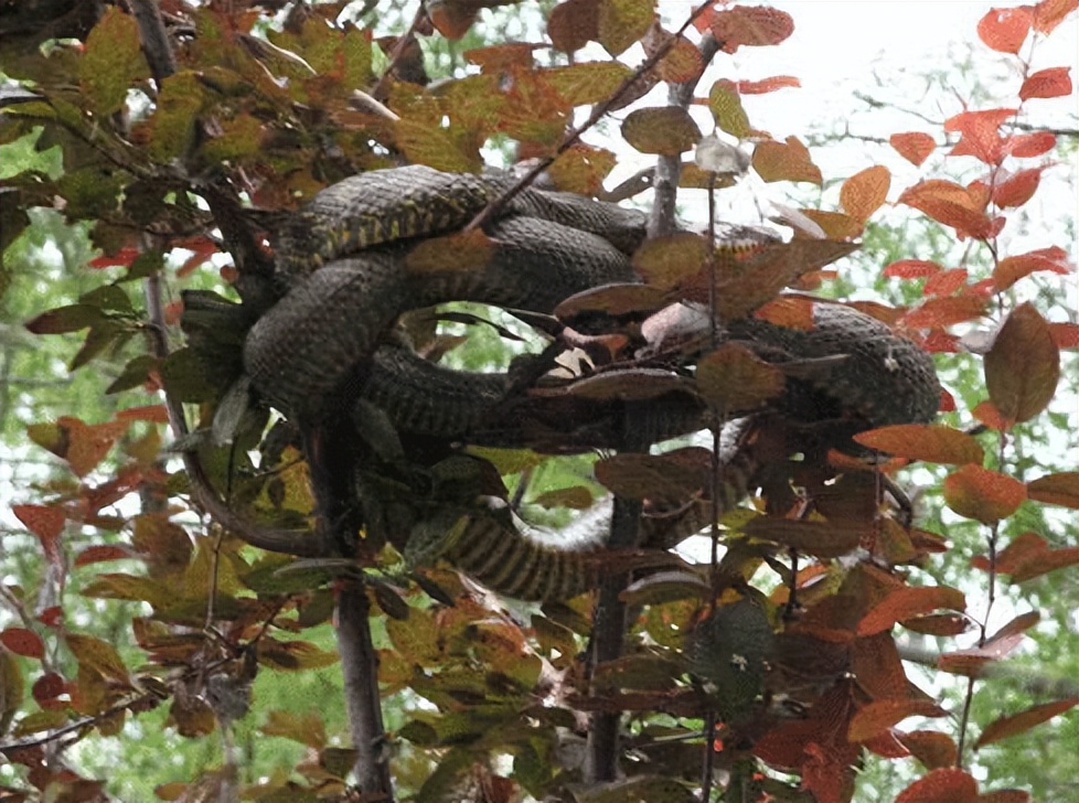辽宁各市冷知识,辽宁冷知识