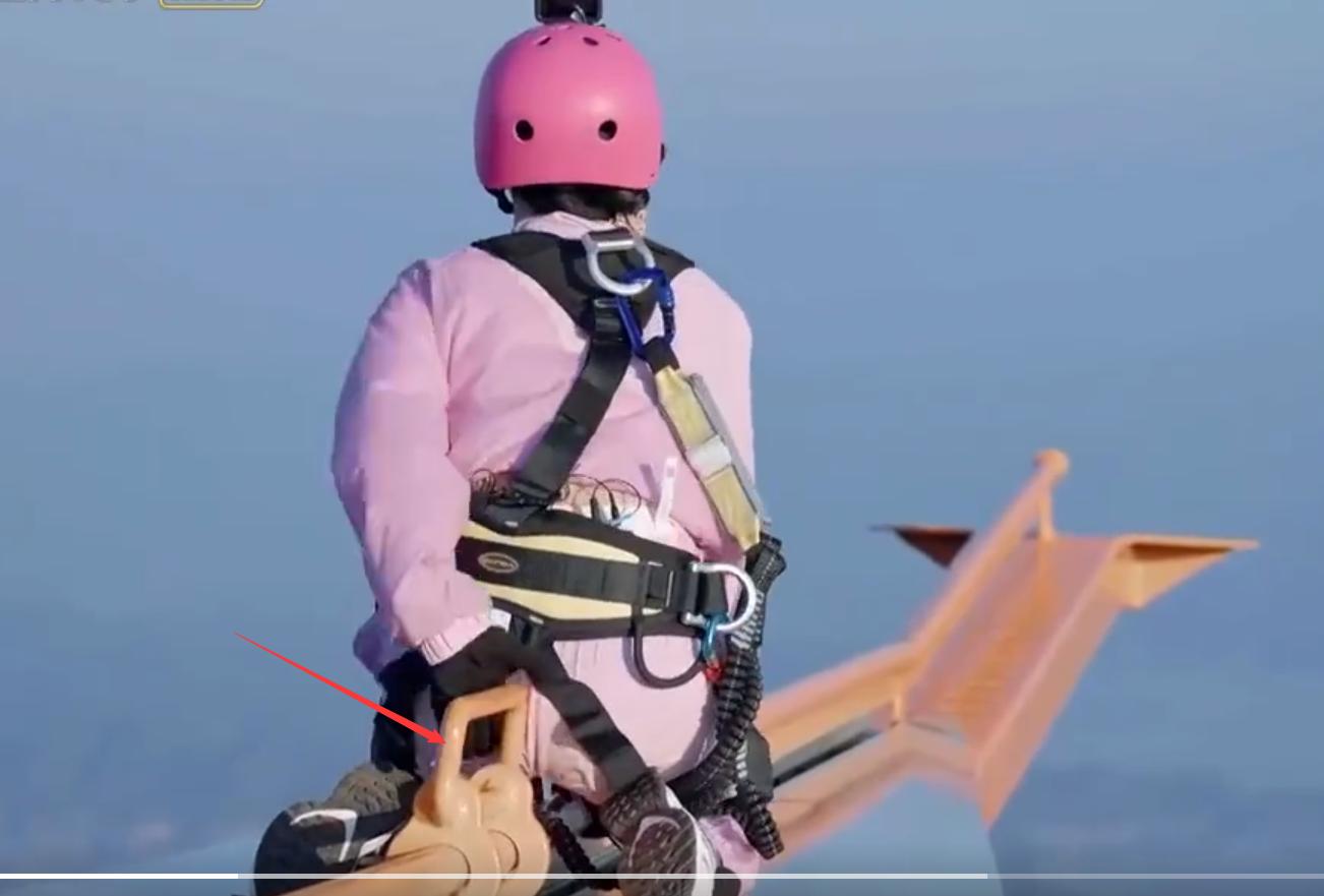 郑钧评价苗苗扮猪吃老虎,苗苗评价郑钧刘芸