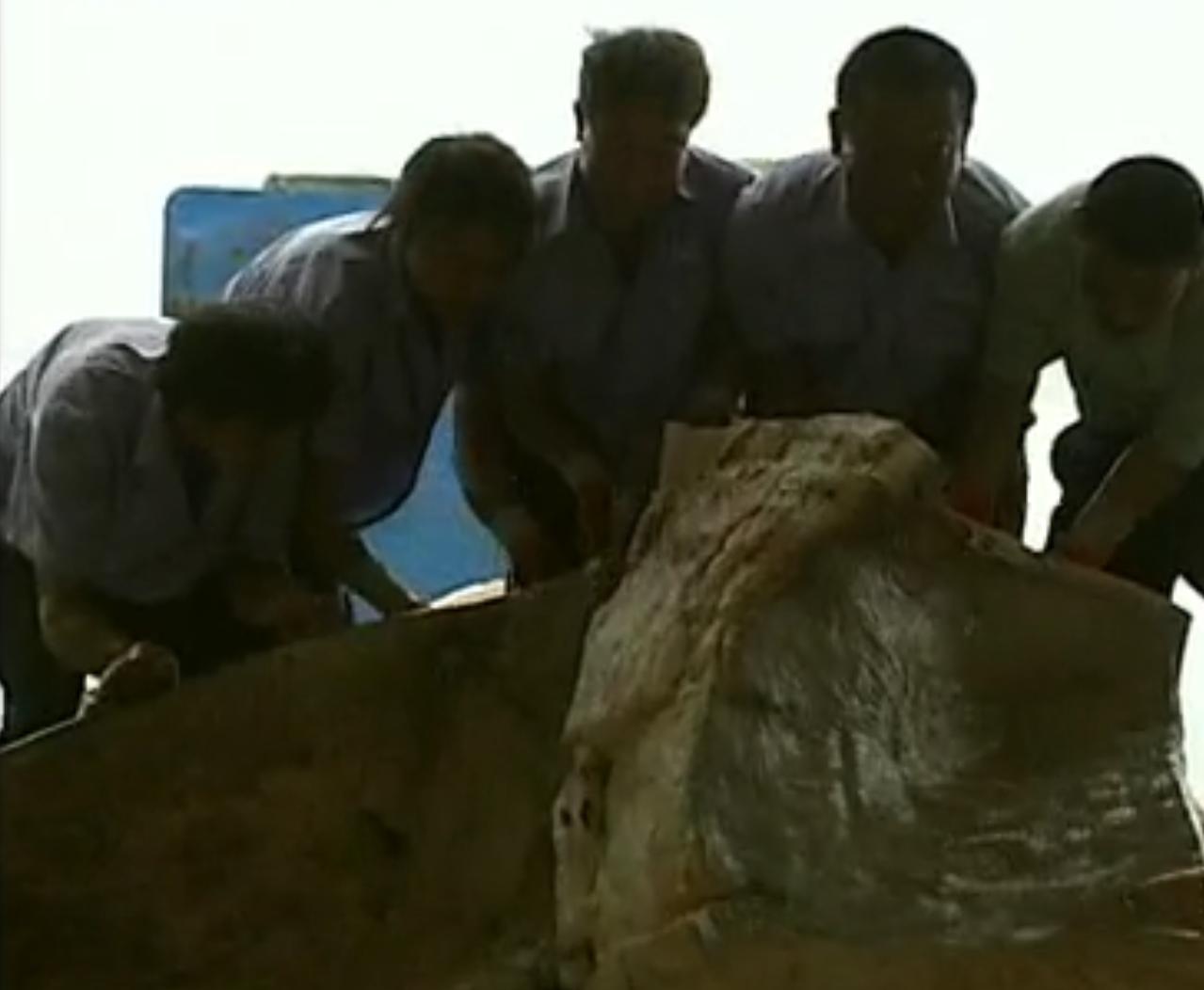 中国“鲨鱼村”的聪明商人：加工迷你“小鲨鱼”，年入3000万