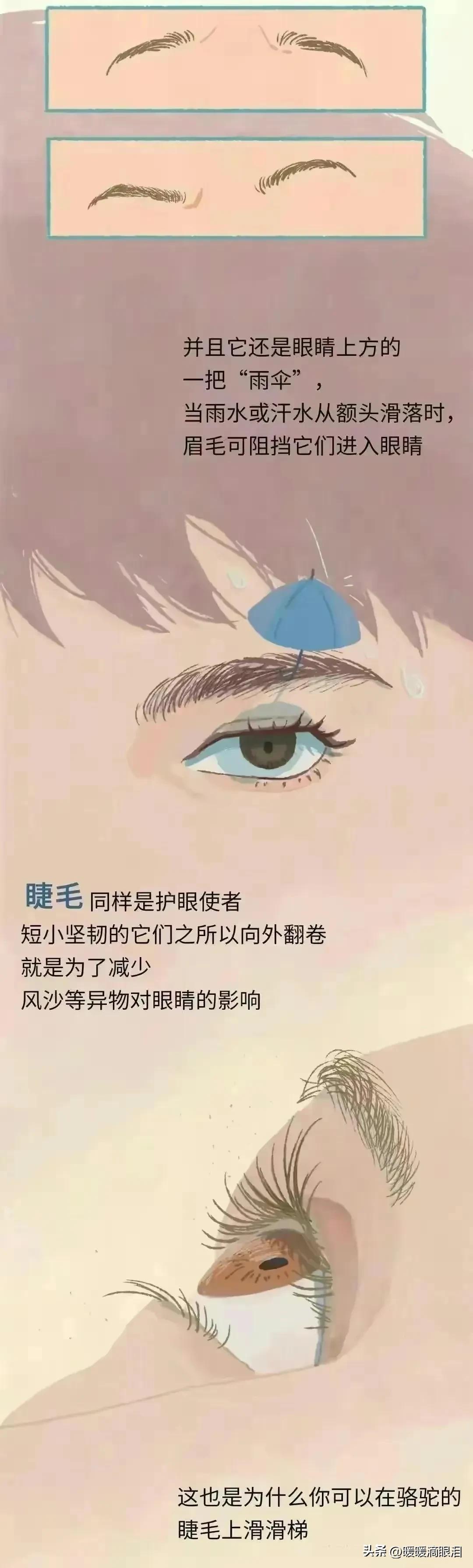 人类的毛发为什么是鳞片状,人类的毛发都是黑色的吗