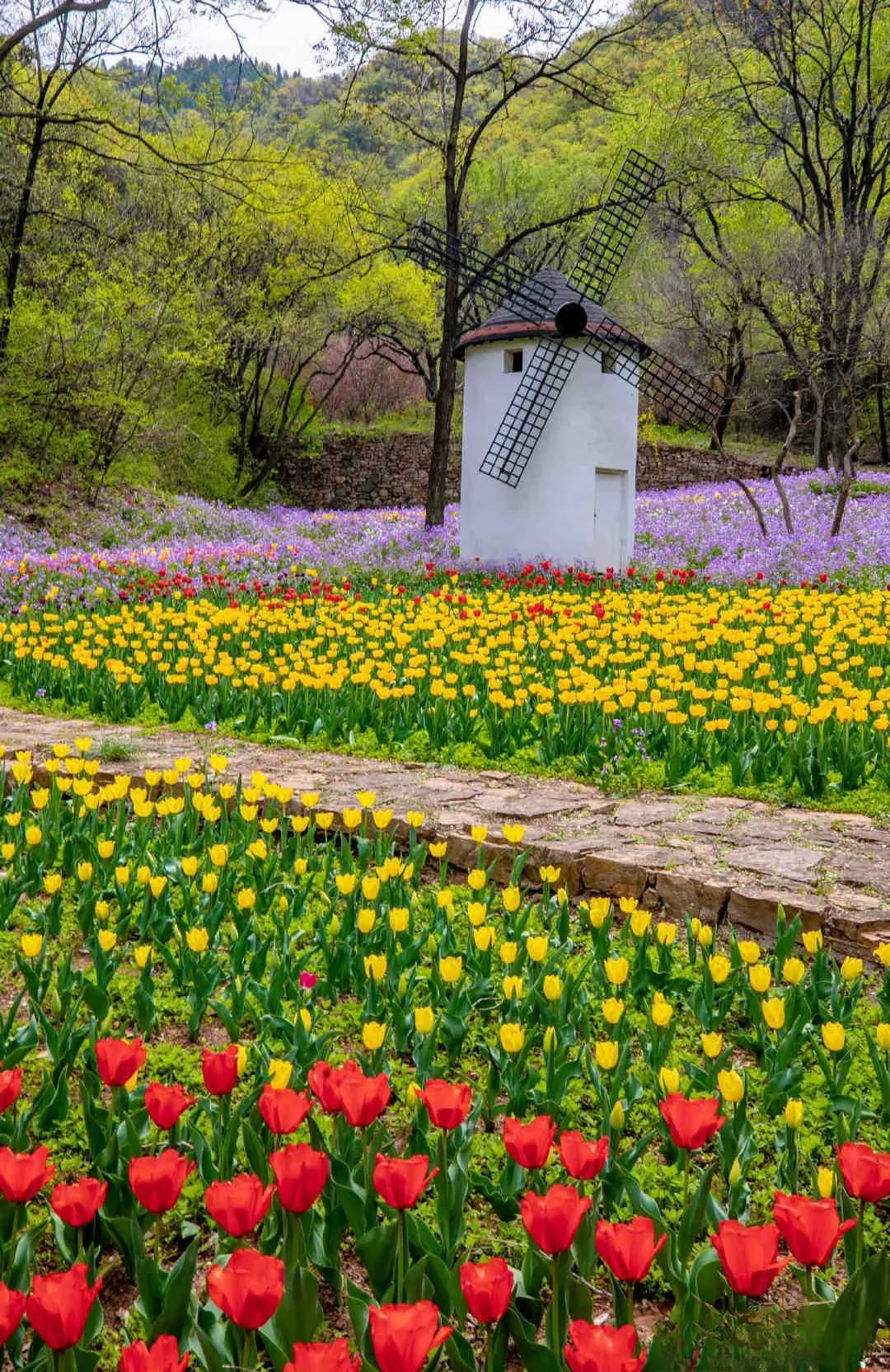济南适合自由行的地方,去济南必去的三个地方