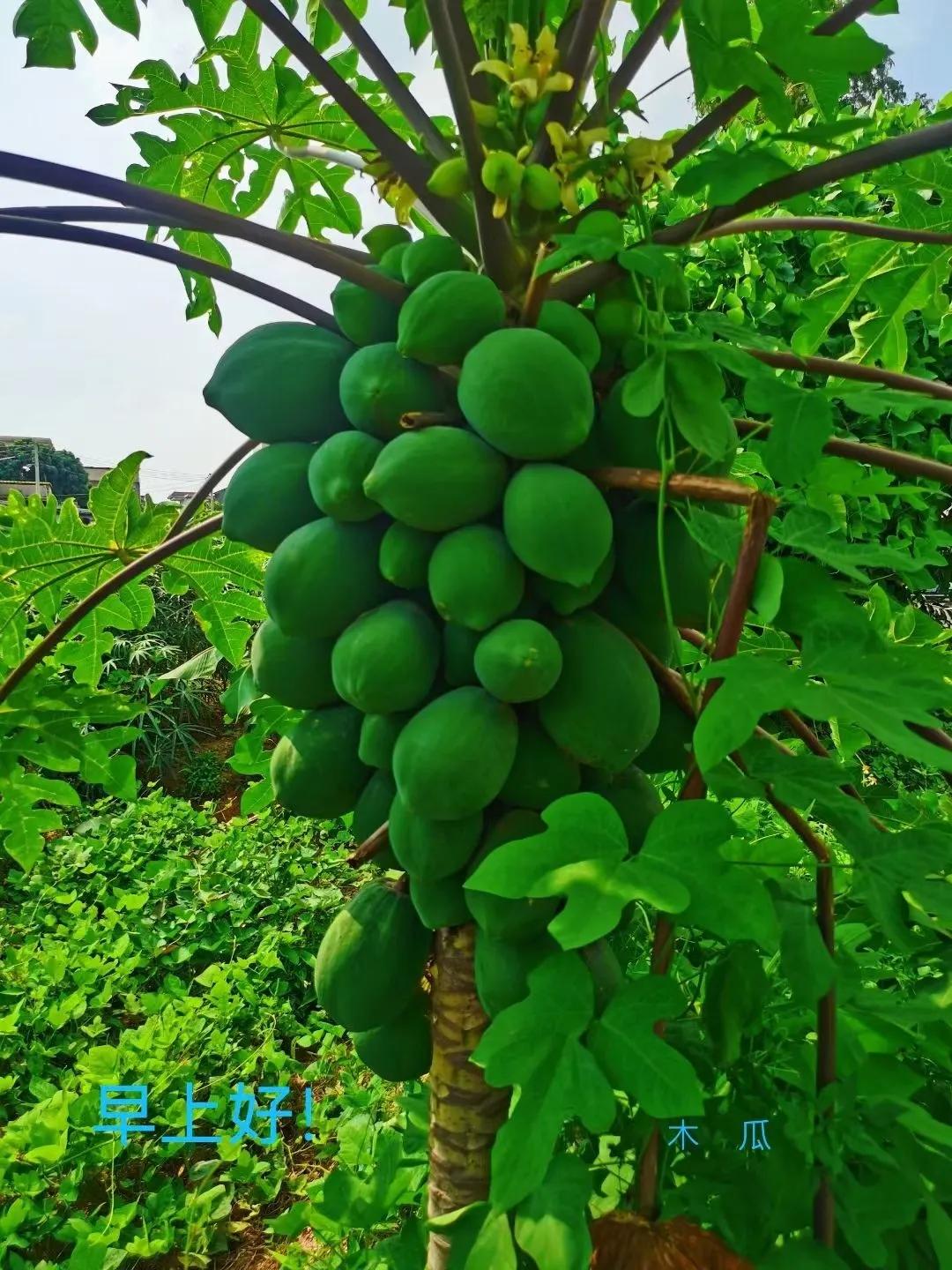 我越来越自信600字优秀作文,越来越自信的我作文金句