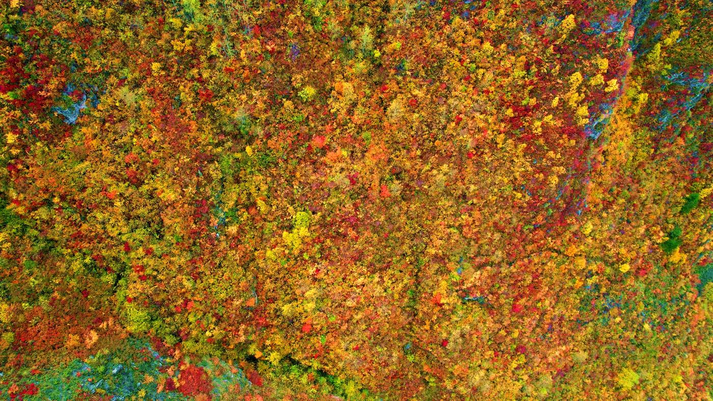 天然氧吧养生避暑,洗肺养心醒脑的天然大氧吧