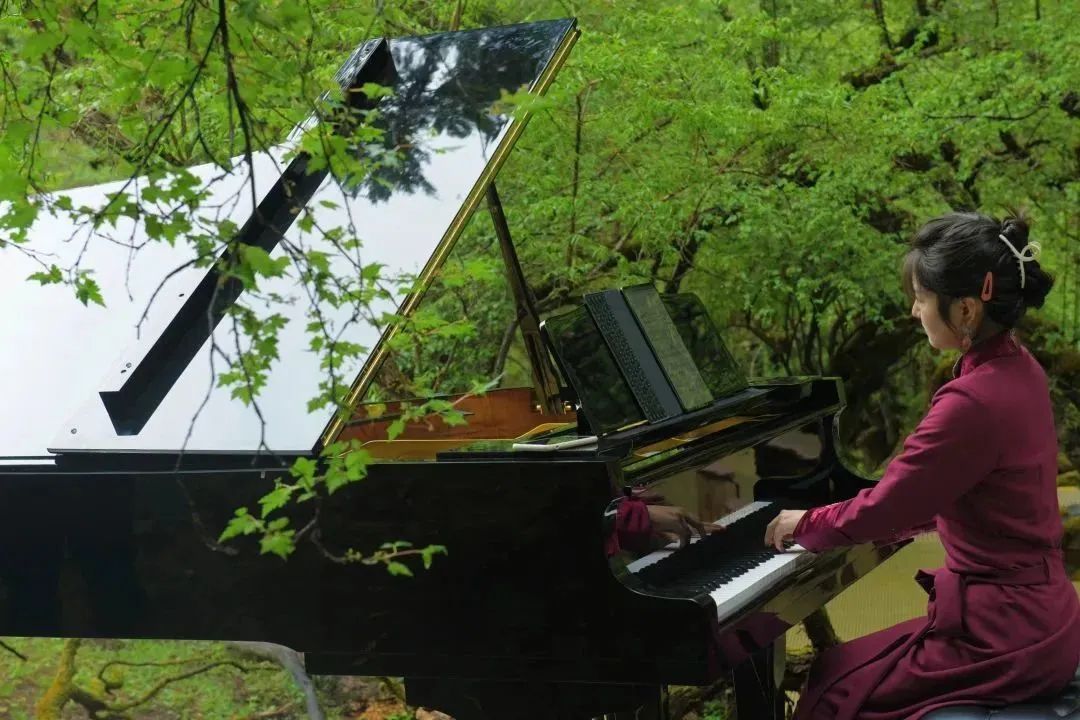 2019四姑娘山接待游客量,四姑娘山游客年接待量创历史新高