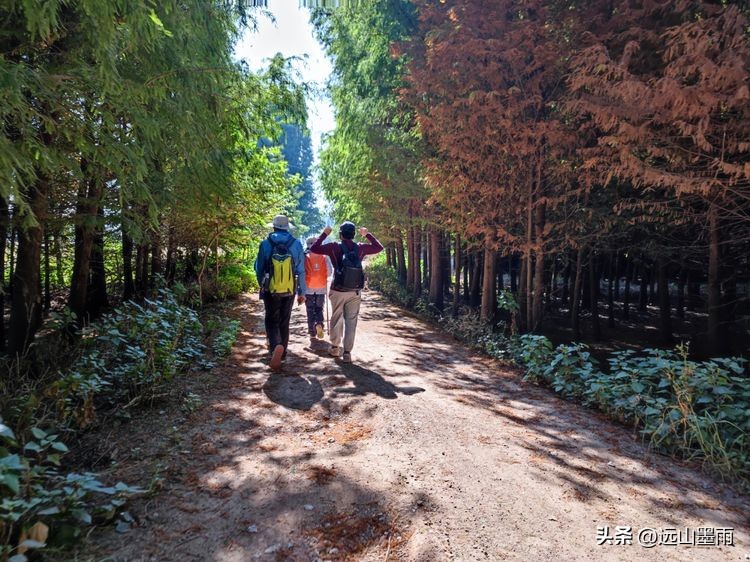 云南昆明滇池小渔村展新颜,滇池边的小渔村