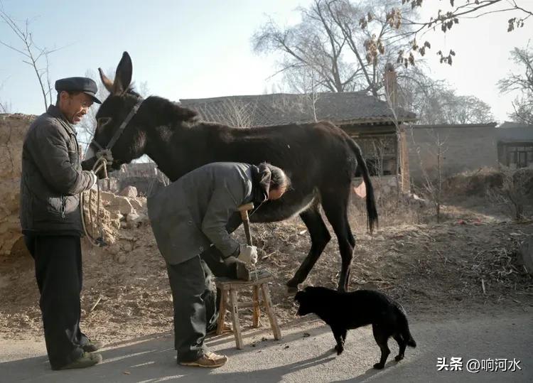 【原创小说连载59】爱恨蛤蟆坪十六（1）