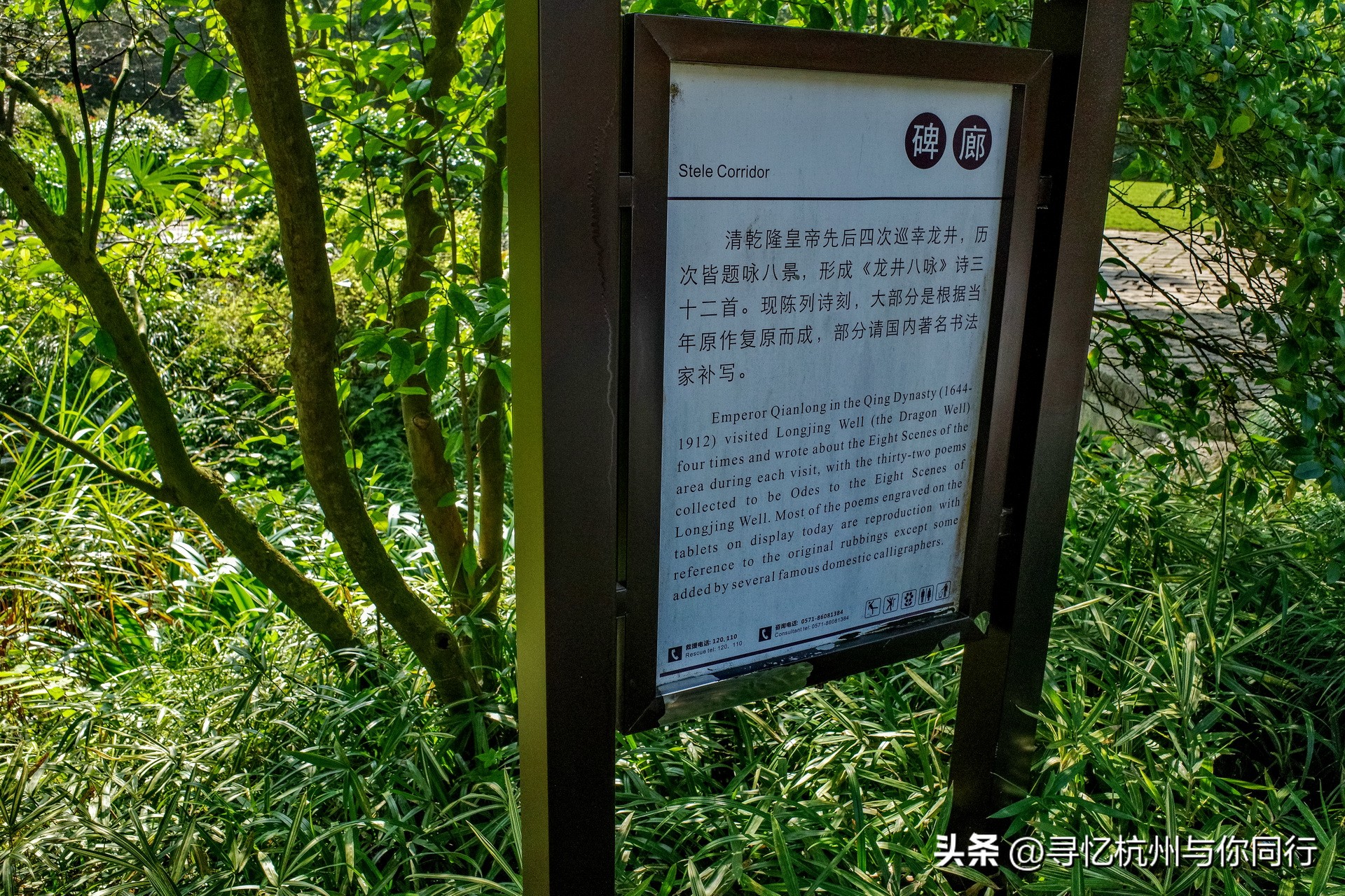 杭州三大景观古建筑,杭州三大名茶