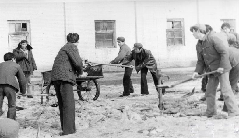 特变电工为什么近期股价下跌,特变电工为什么大跌