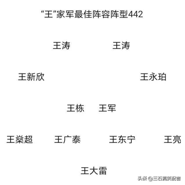 足坛百家姓,足坛最佳阵容范家军