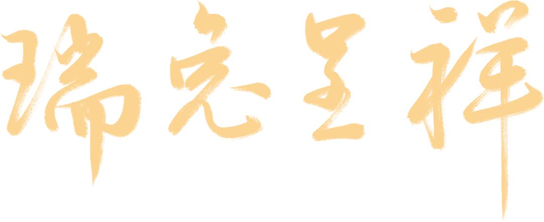 钱兔似锦大展鸿兔礼品盒,钱兔似锦大展宏兔的意思