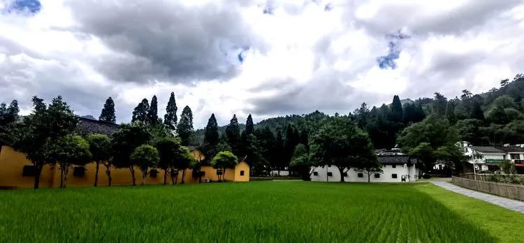 哈雷车主会福州分会,哈雷hog车主会八周年庆典巡游