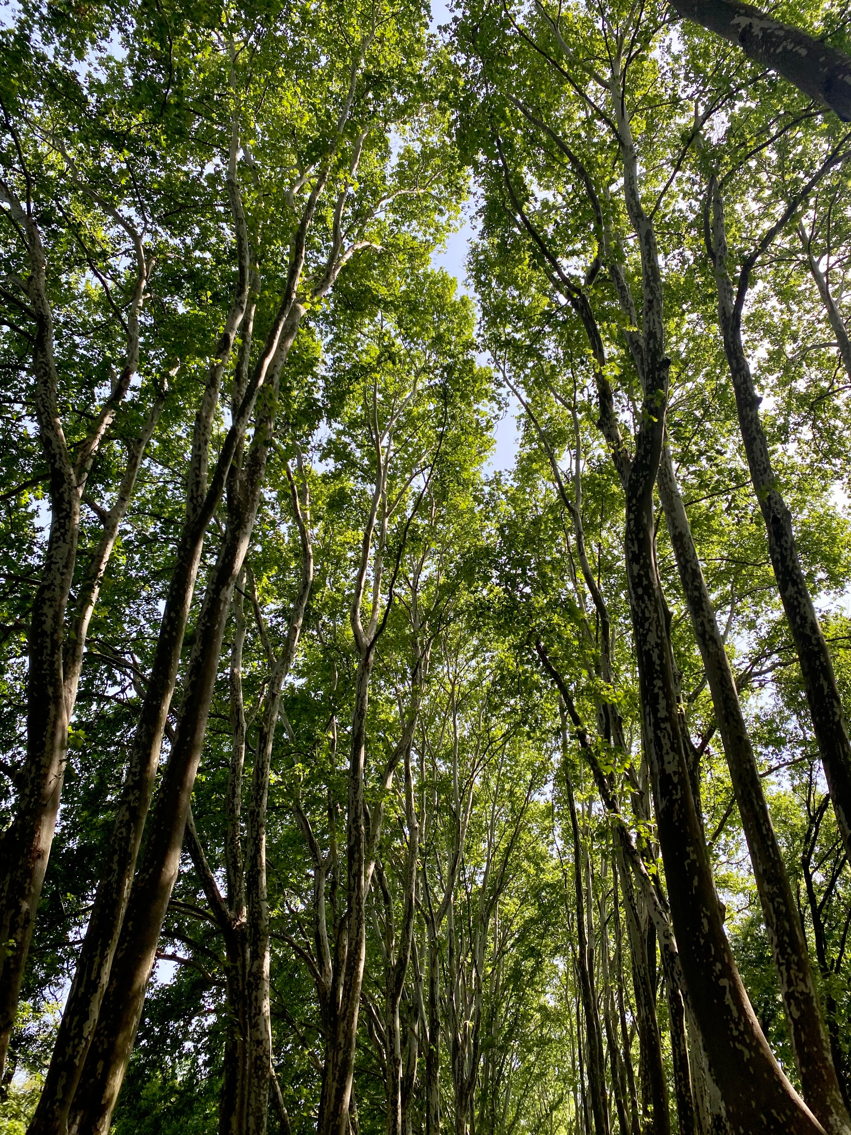 强迫症心魔下集完整版,强迫症幻想的症状