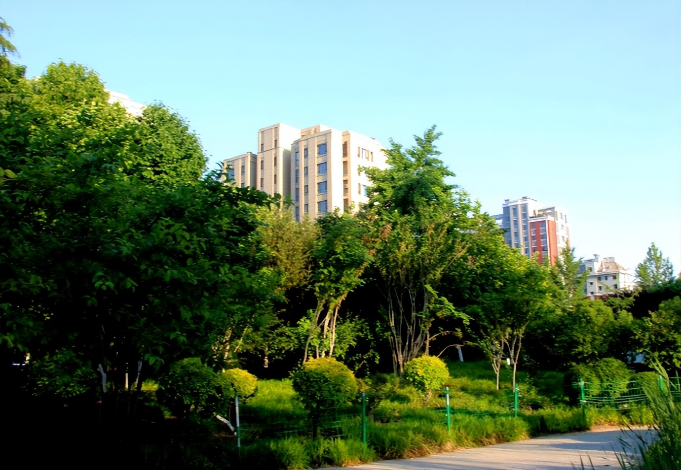 浣撴鍓嶄竴澶╁皬閰屽彲浠ュ悧,浣撴鍠濋厭