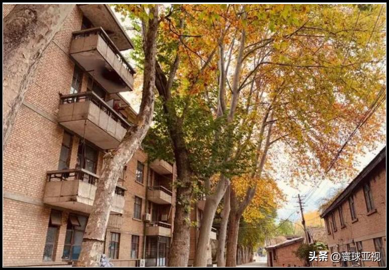 老三线之湖北三线建设,陕西凤县红光沟067基地现状