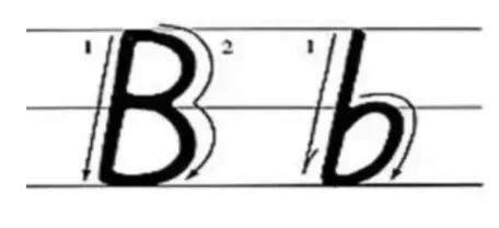 关于字母b的单词,学习字母b开头的英文单词